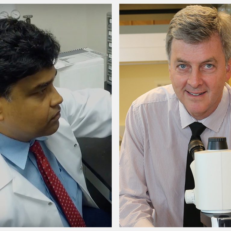 Ucf Scientists Seek Novel Material To Kill Covid 19 Nanoscience