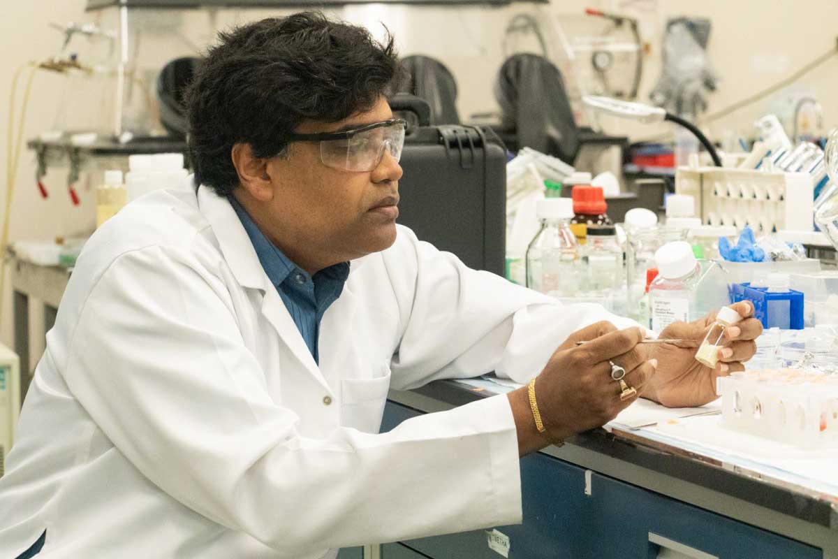 Engineer Named National Fellow for Work in Materials Science ...