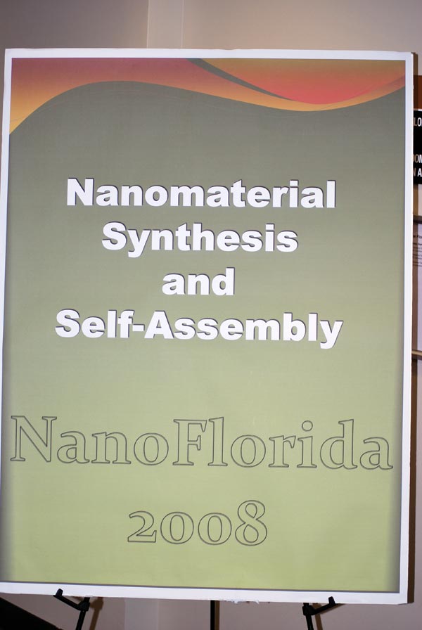 NanoFlorida 2008