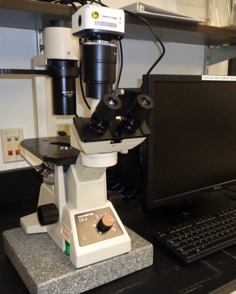 Phase Contrast Inverted Microscope – Olympus CK2