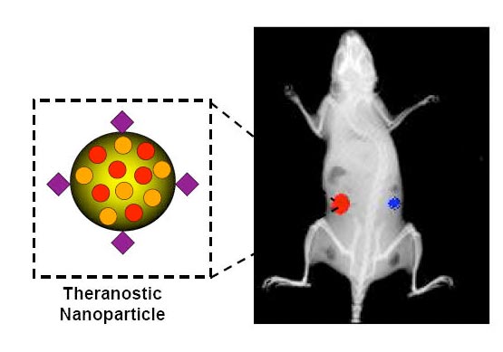Polymeric Nanoparticles