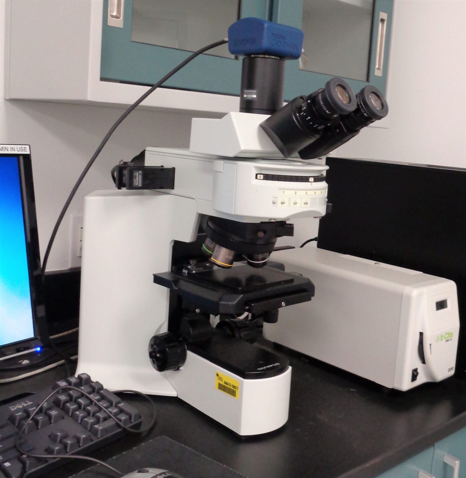 Optical Microscope - Olympus BX51M - NanoScience Technology Center