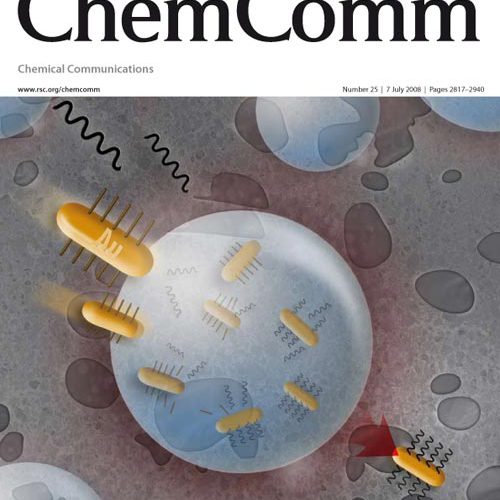 New Cover Article from Dr. Huo - NanoScience Technology Center