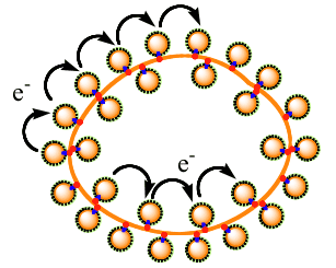 Functionalized Nanomaterial Assembling and Biosynthesis Using the