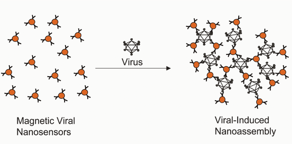 Nanoparticle Technologies
 Figure 4